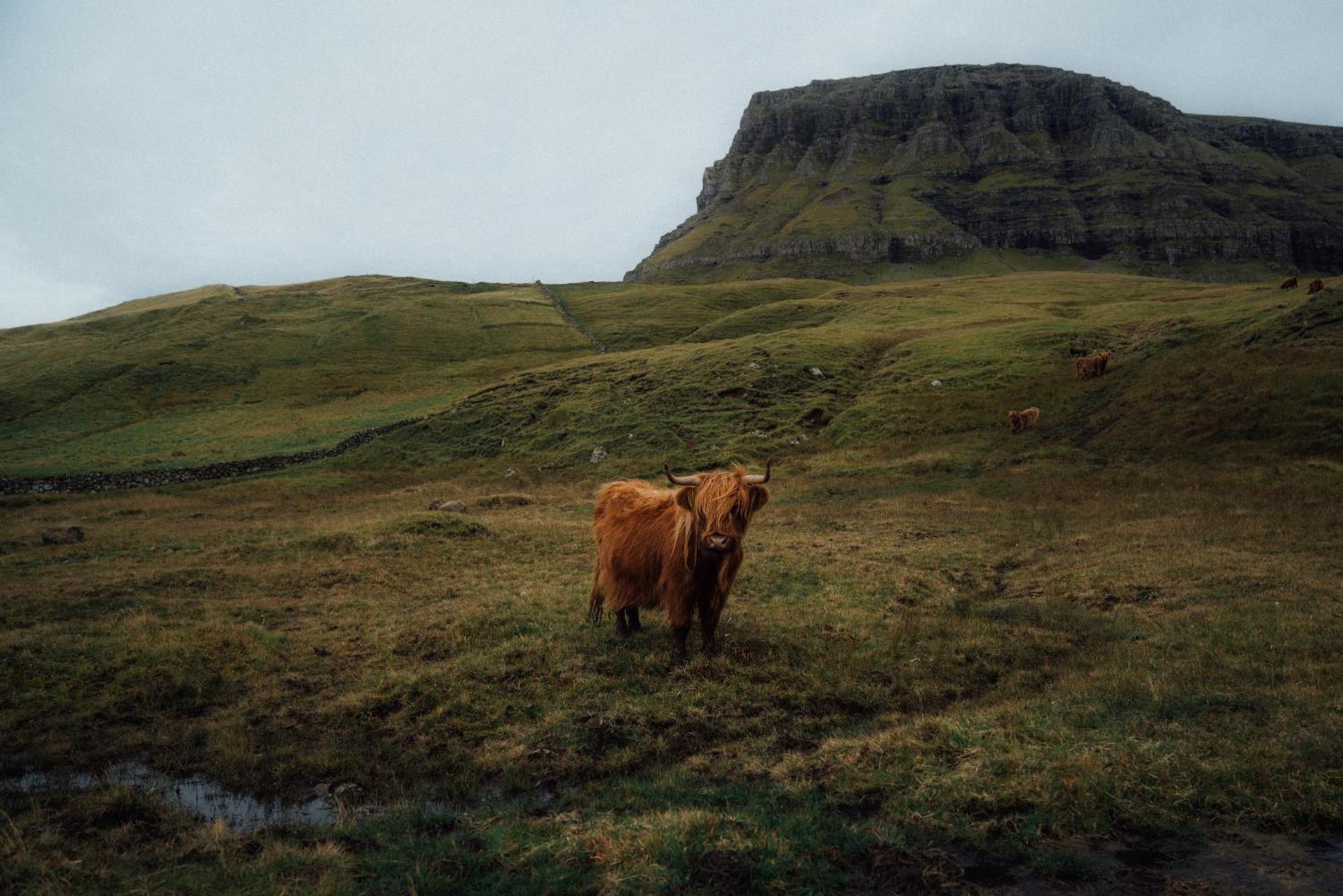 Mulafossur Cottages By Famous Waterfall In Gasadalur Extérieur photo